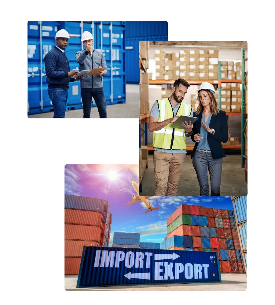 About-Bg Cargowint